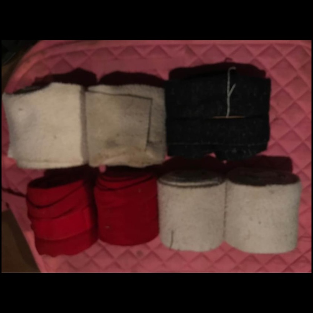 Polo lot